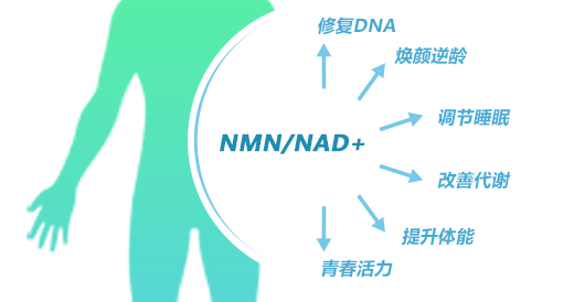 什么是导致衰老的原因